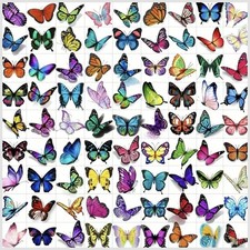 Set of 81 Waterproof Temporary Tattoo Stickers Butterfly Arm  Body Art