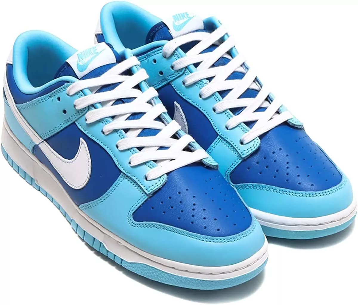 NIKE 2022 DUNK LOW RETRO