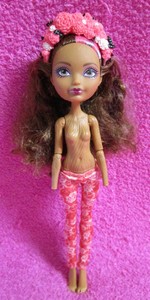 cedar wood spring unsprung