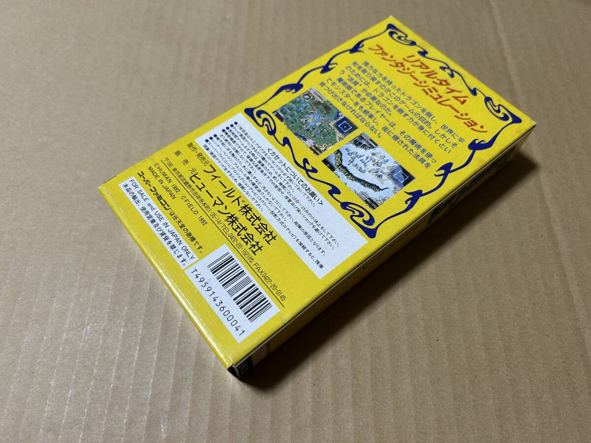Dragon's Earth スーパーファミコン Dragon's Earth (SNES) Super Nintendo Game by Human, Field