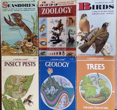 Golden Nature Guides Zoology, Seashores, Birds, Insect, Trees, Geology LOT of 6