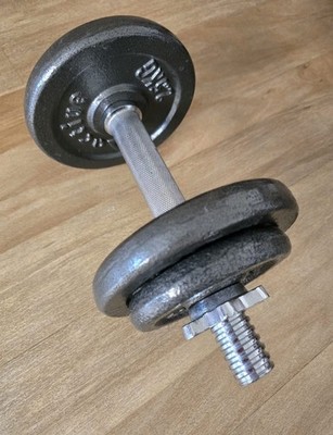 Adjustable Activa smooth cast iron dumbbells, 10kg with Handle