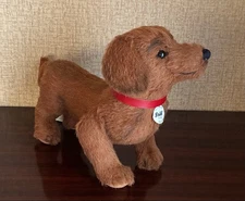 Waldisteif the dachshund #955ddb