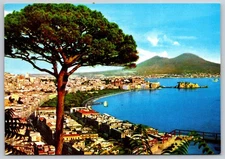 Postcard Naples Bay Panorama With City Buildings Tree Overlook And Mount Vesuviu