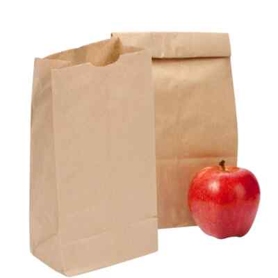 6 Lb Kraft Brown Paper Lunch Bags (200 Count) - Bulk Disposable Lunch Sacks, Med