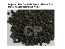 Beejband Sida Cordifolia Country Mallow Bala Bhadra Kanghi Whole 250gm 8.8 OZ .