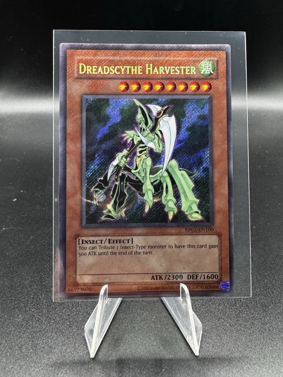 PSA8 遊戯王光と闇の竜 英語 RP02 シク シークレットレトロパック2 Yu