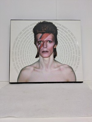 Bowie Treasures by Mike Evans (2014, Hardcover)
