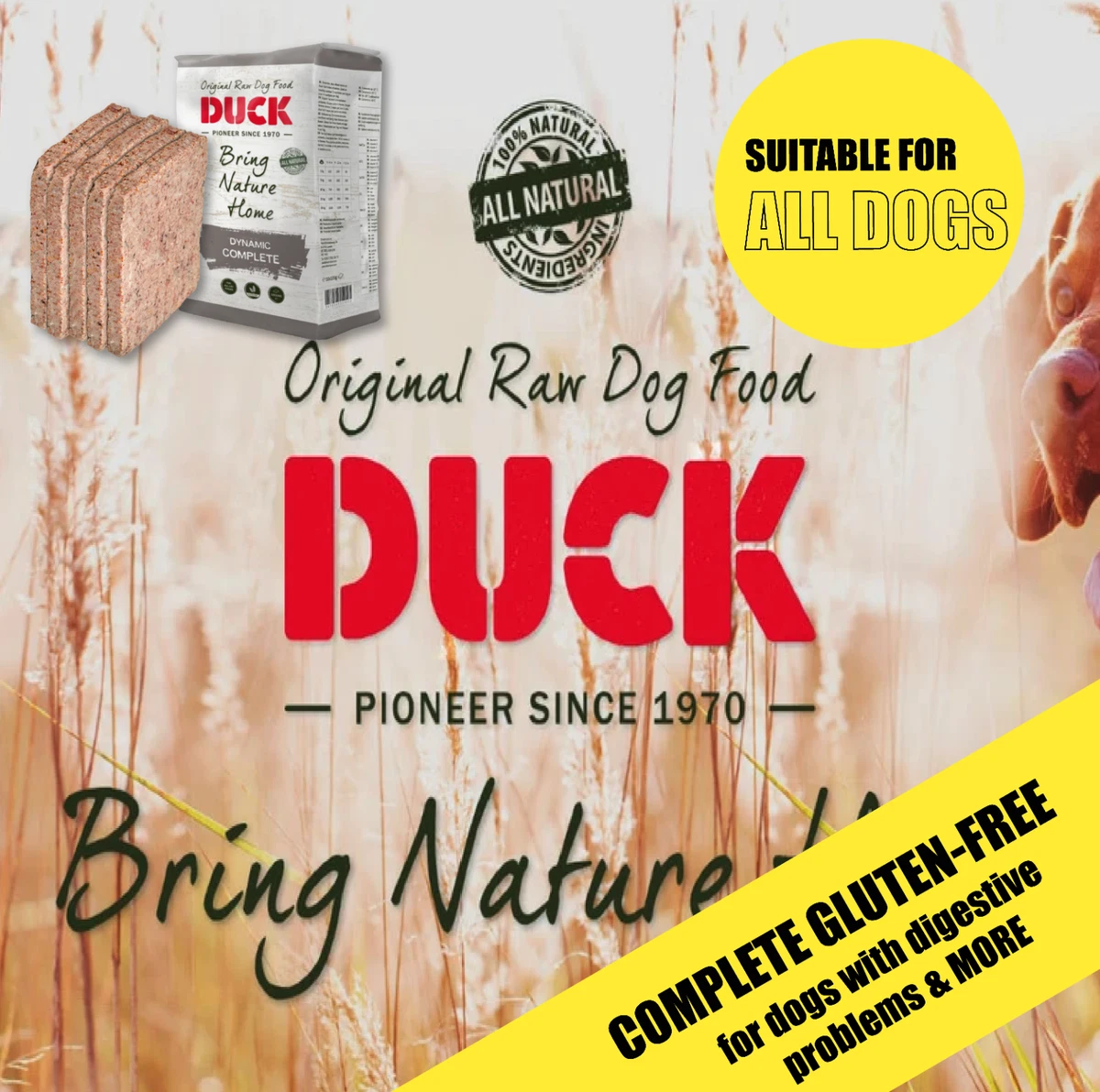 Pioneer naturals cheap dog food