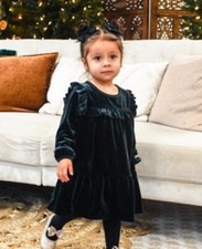 Cat  Jack Dress Velour Velvet Girls 2T Solid A-line Velour Long Sleeve NWT