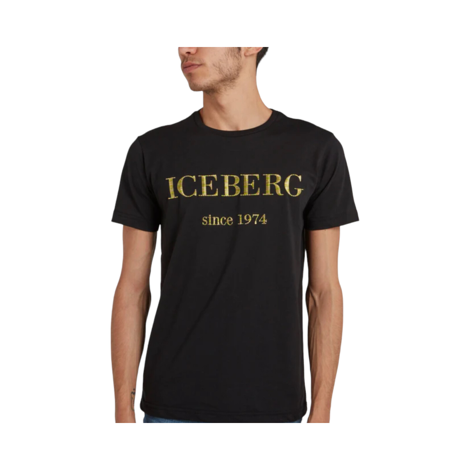 Мужская классическая футболка с логотипом Iceberg I1P0F01463319000 черная - АБСОЛЮТНО НОВАЯ С БИРКОЙ 21290₽