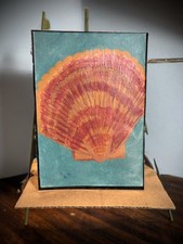 ACEO, original art cards, signed, 2.5 X 3.5, Scallop, acrylic on cardstock 
