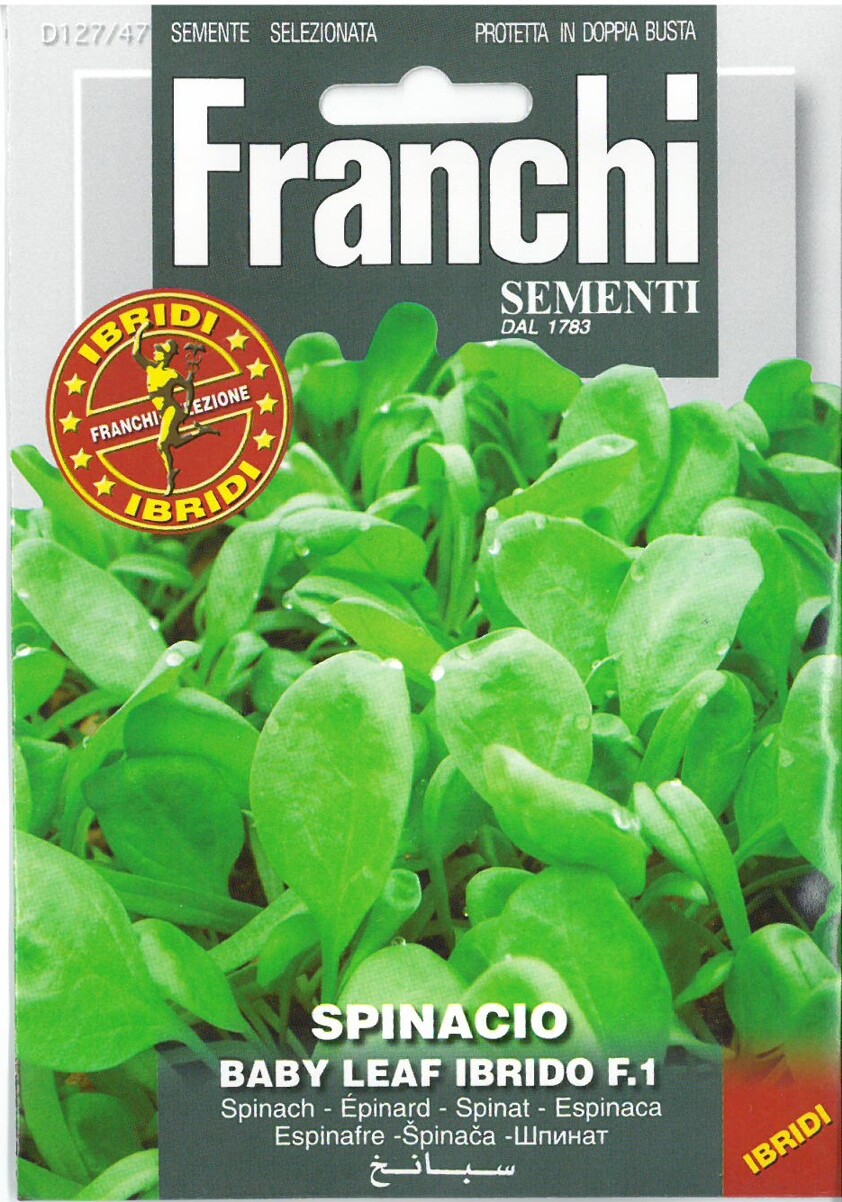 Franchi Seeds Spinach Spinacio Emila Baby Leaf Ibrido F1 seed