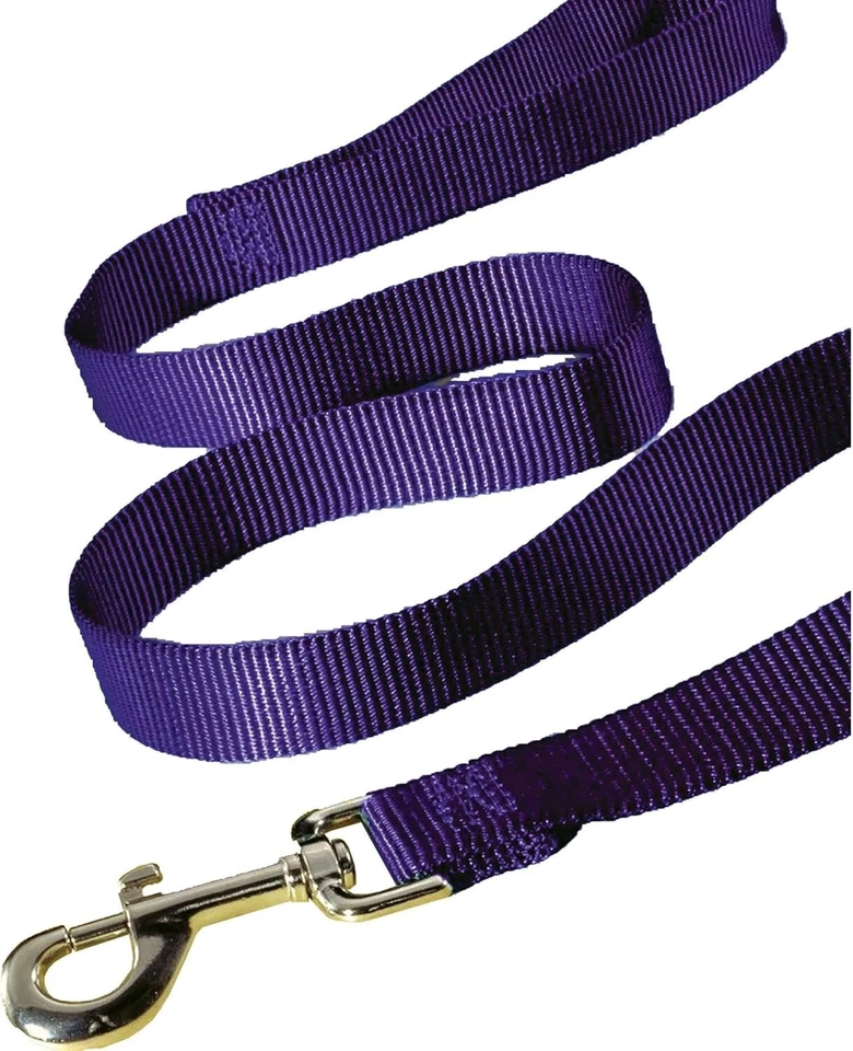 Single Thick Nylon Dog Lead, 1-Inch by 6-Feet, Purple - Image 2 of 2