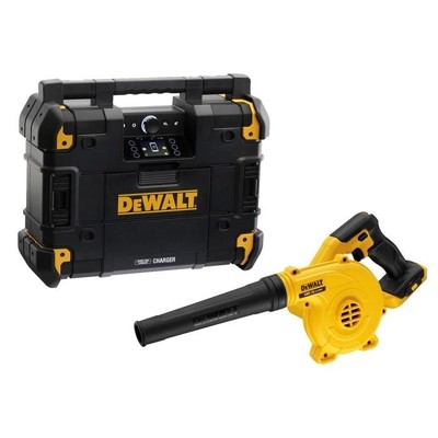 DeWalt Laubbläser nur Gehäuse kabellos TSTAK Radio mit Bluetooth KONVOLUT NEU UK
