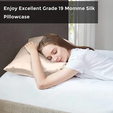 One Silk Pillowcase 100% Mulberry Worm MPT21-0123, Taupe