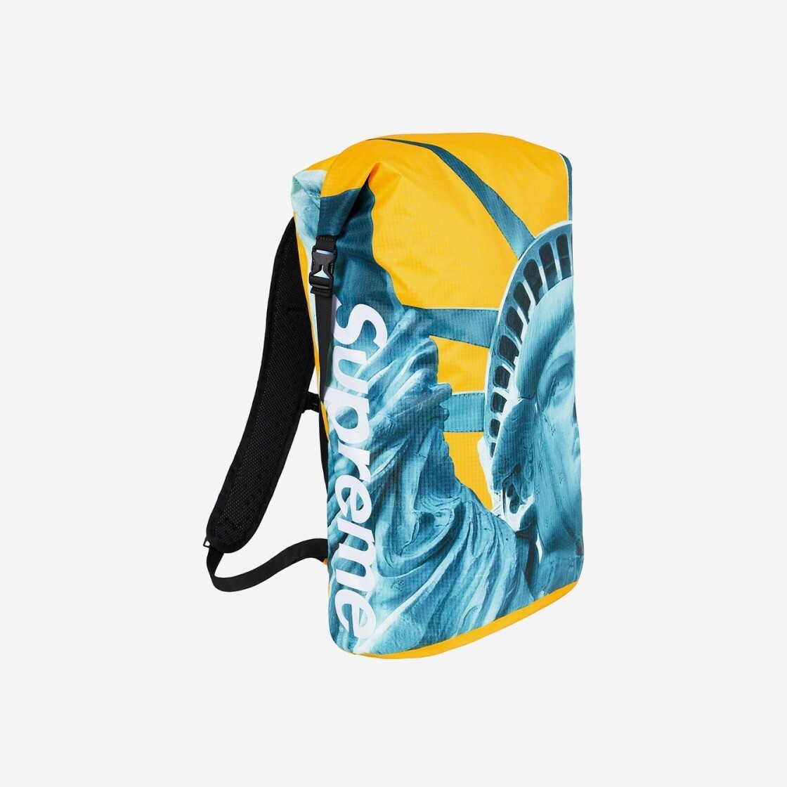 Supreme x The North Face Statue of Liberty Waterproof Backpack  