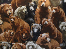 Cotton Quilt Fabric Half Yard Remnant Piece Packed Bears Timeless Treasures