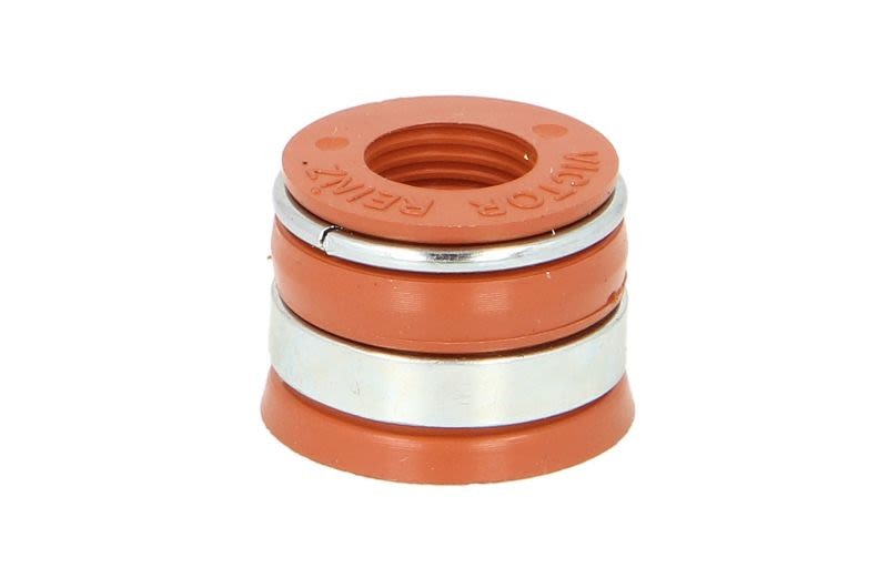 Éliminer la fumée bleue : joint de queue de soupape REINZ 70-41953-00 FPM anti-fuite d'huile
