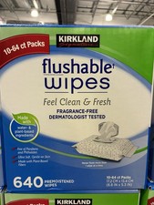 Kirkland Signature Flushable Wipes Fragrance-Free 640 Premoistened KS640