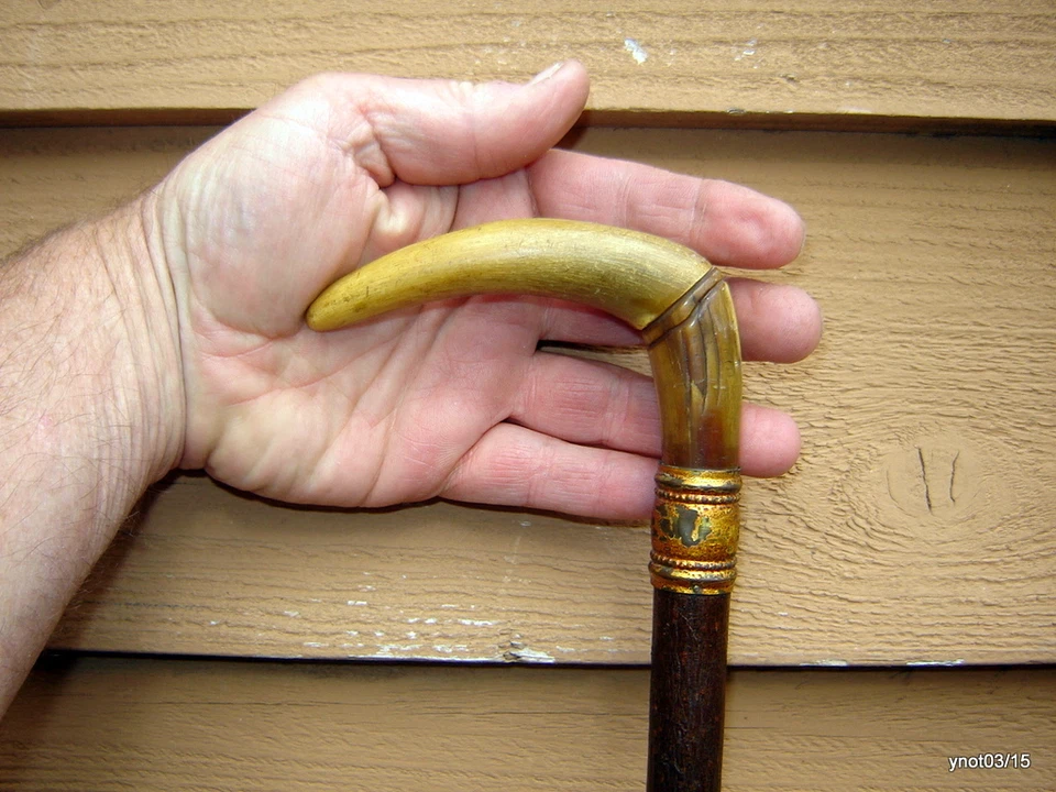 antique COCA-COLA collectors CANE/walking stick HORN handle silver, copper tip - Image 3 of 4