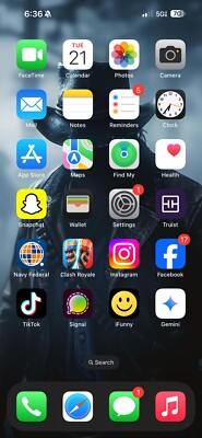 iphone 15 pro max With TikTok 
