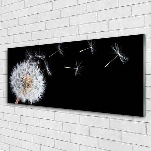 Tableau mural Image sur Plexiglas® 125x50 Floral Pissenlit