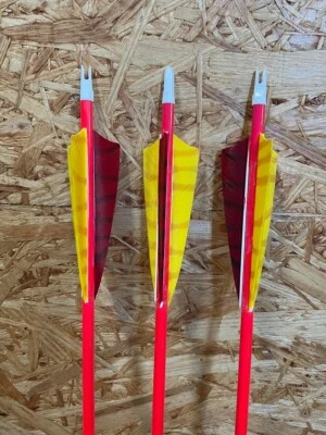 NEU 1 Stck. Bearpaw Penthalon Bandit Neon Carbonpfeile Spine 700 Naturfedern