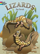 Lizards Coloring Book Dover Animal Coloring Books 