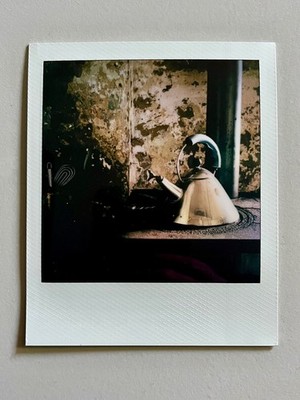 1 x Polaroid, Still Life, Photo, Photography, Instant Photo, Art, Art, SX 70