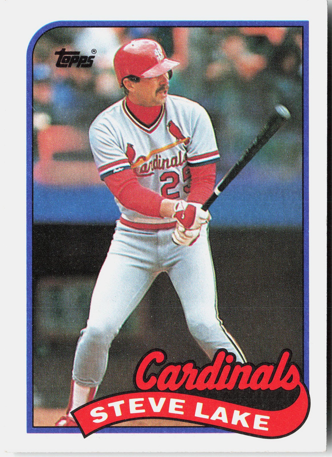 1989 Topps #463 Steve Lake