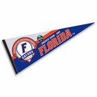 Florida Gators 2024 College Baseball Series Cws Pennant Flag Banner