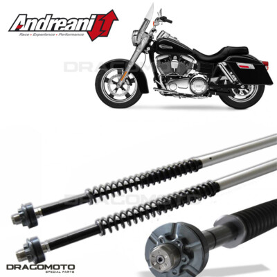 HARLEY-DAVIDSON Dyna Switchback / FLD 2011-2014 Cartridge ANDREANI 110/HD7 MI...