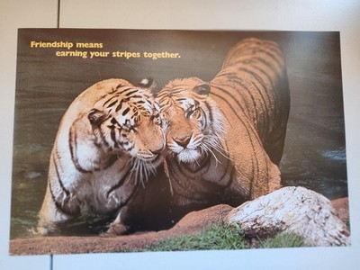 Vtg NOS Argus Poster Tiger 1982 Friendship means earning your stripes together