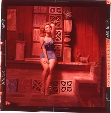 Tuesday Weld Seductive Busty Leggy Swimsuit Photo Shoot Original Transparency