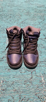 Nike SB Skateboard dunk high-top Gino