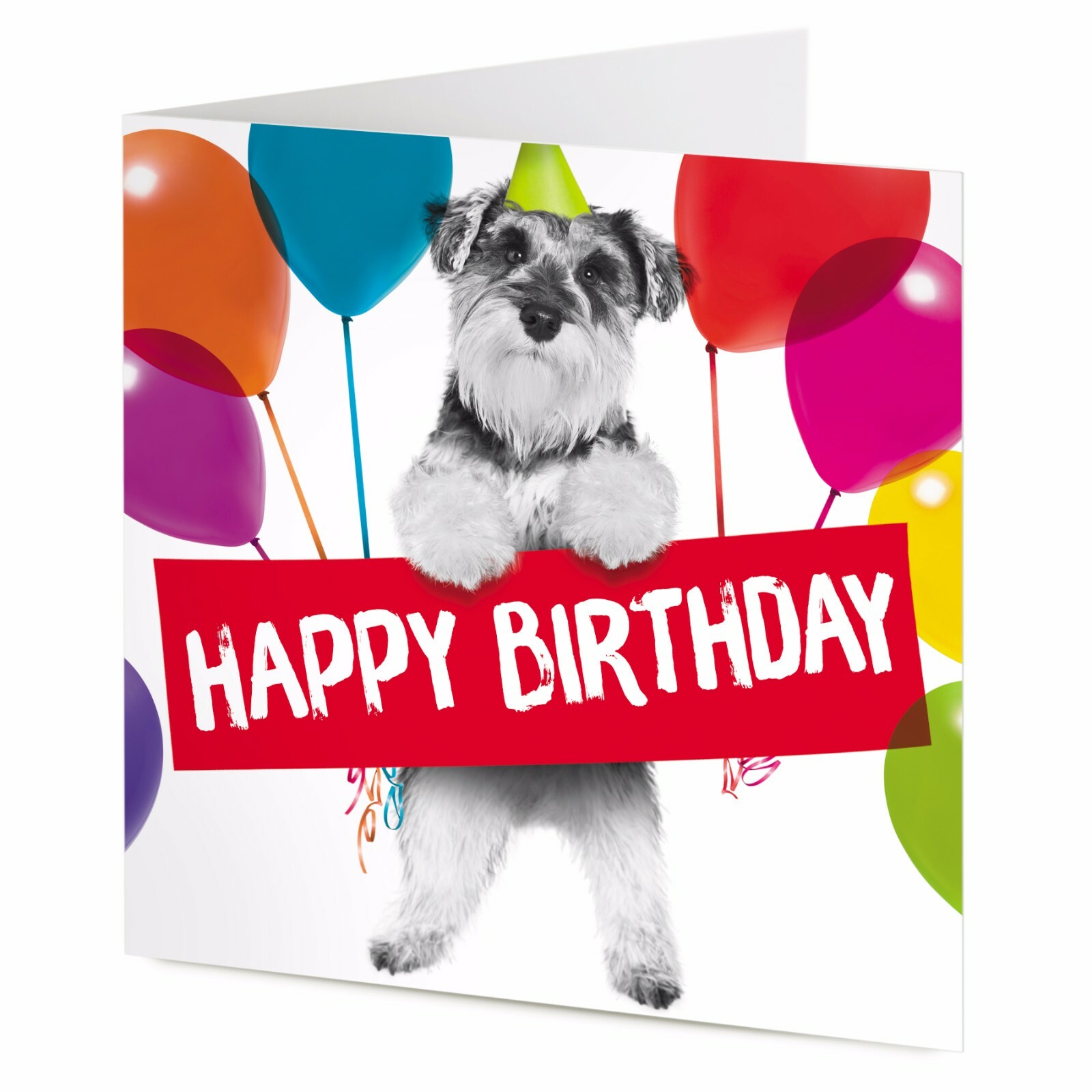 Schnauzer dog Happy Birthday card