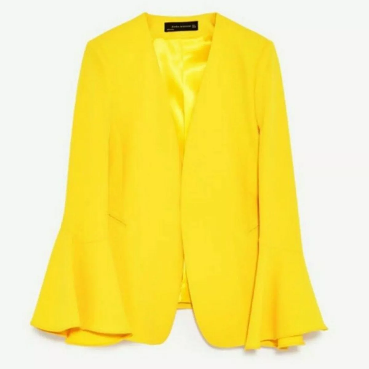 Zara bell hotsell sleeve jacket