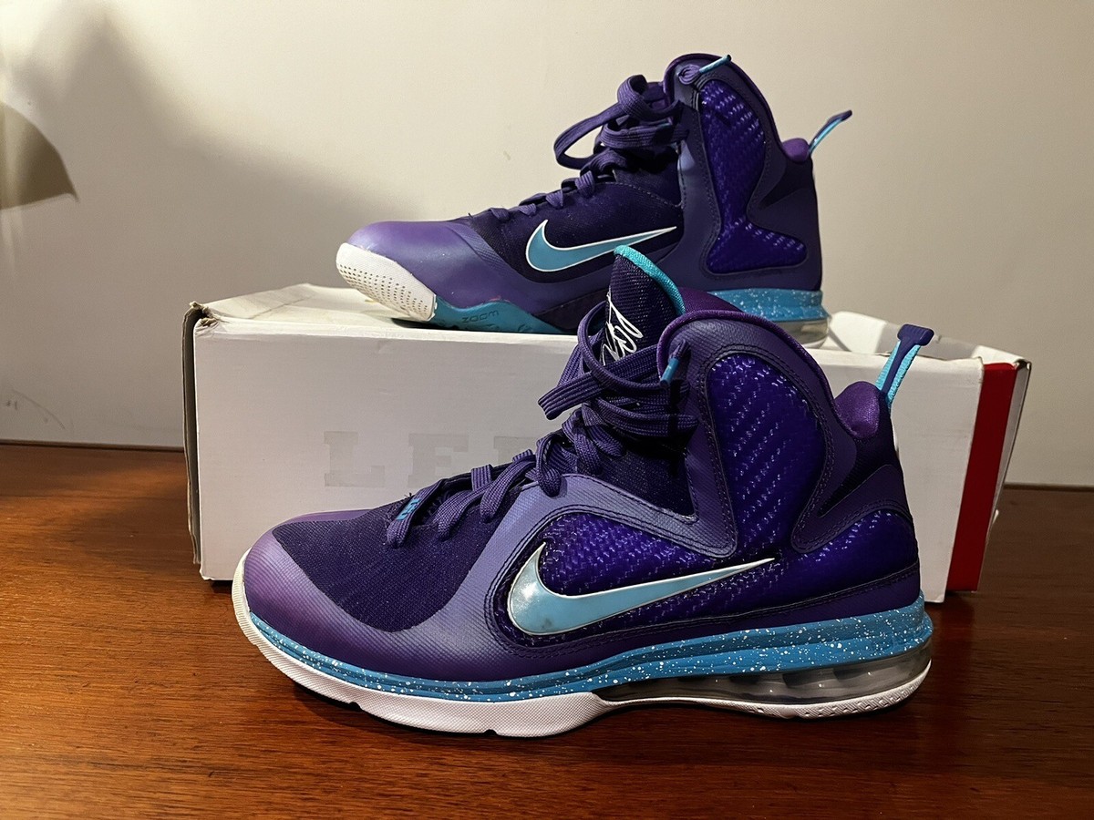 lebron 9 hornets on feet