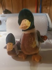 Ty Beanie Baby Jake The Mallard Duck 1997 1998 Rare Error Tags & Beanie Buddy 