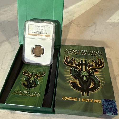 RARE 1873 Indian Head Cent "Open 3" NGC VF30, Sharp, Chocolate Brown RARE