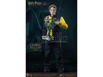 Hp Cedric Diggory 1/6 Action Figura Action Figura Star Ace