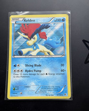The Pokemon Company Keldeo 47/149 Boundaries Crossed Holo Rare English 110 HP
