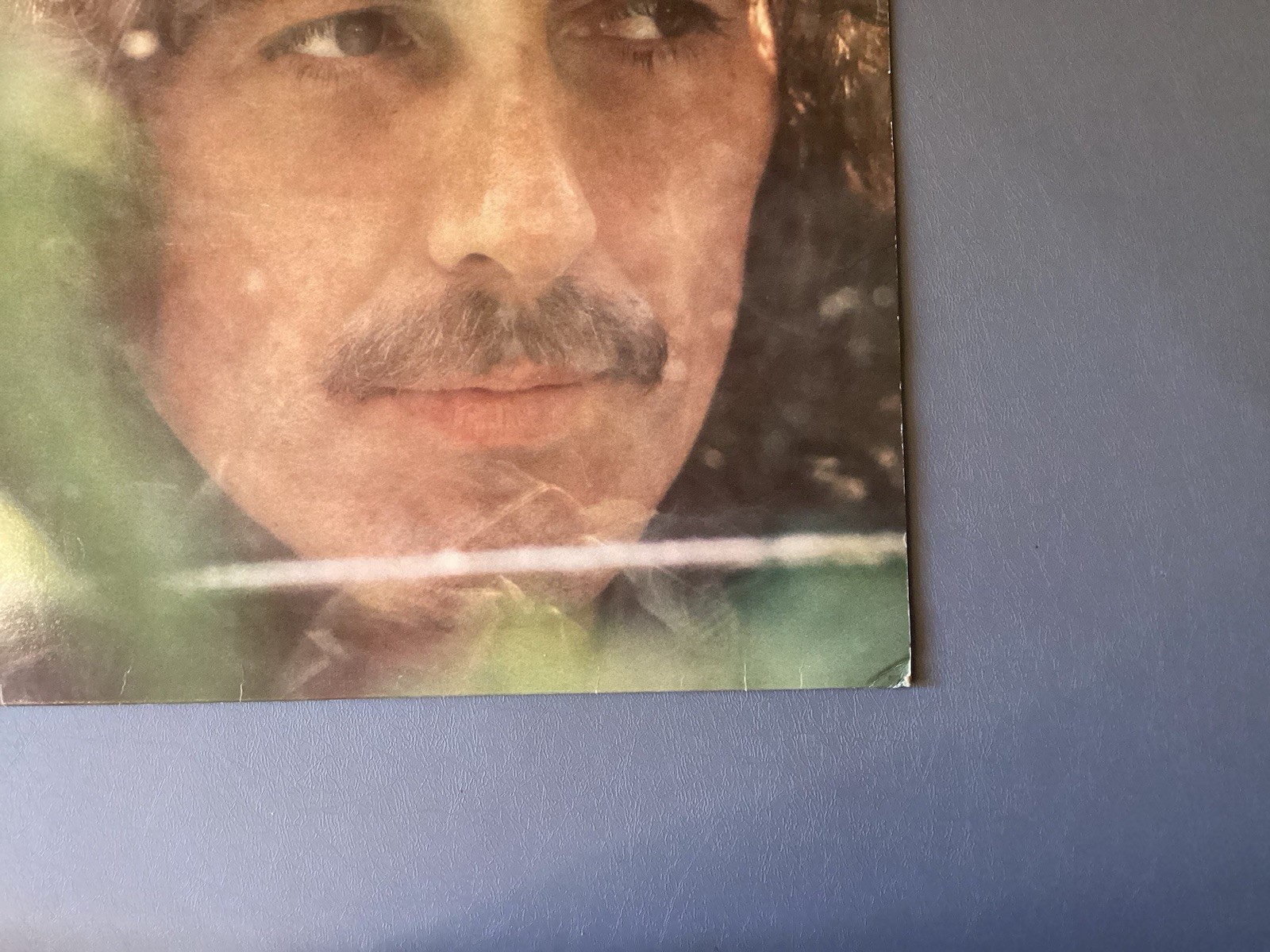 Picture 4 of 17