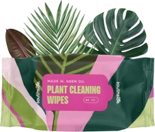 Plant Cleaning Wipes by Southside  - Gentle, Plant-Based Wipes for Shiny Leaves