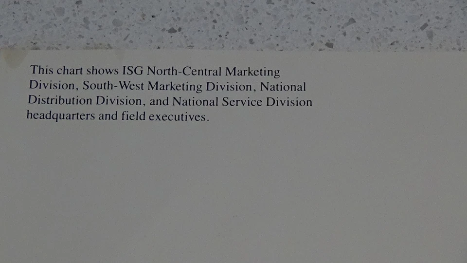 1980's IBM ISG National Support Organization Chart 16.5"x42.5" 2-Sided Poster #A - Image 2 of 4