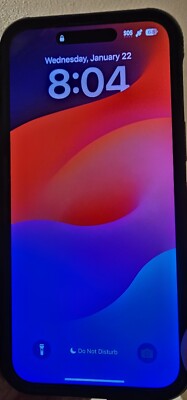Apple iPhone 14 Pro Max - 128 GB - Black (Verizon) With TikTok Installed 