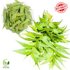 Premium Organic Dried Neem Leaves - 100 Natural  Herbal Azadirachta Indica