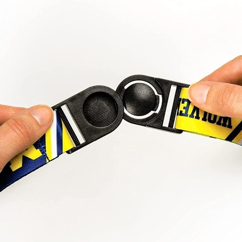 Carolina Panthers Lanyard Keychain Double Sided Breakaway Safety Design Adult... - Picture 3 of 7