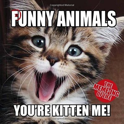 The Meme-ing of Life: Punny Animals,Hardie Grant